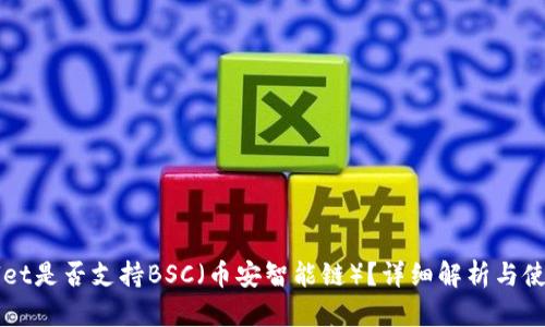 TPWallet是否支持BSC（币安智能链）？详细解析与使用指南
