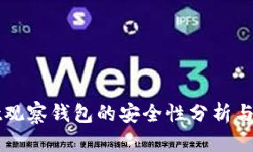 TPWallet观察钱包的安全性分析与风险评估