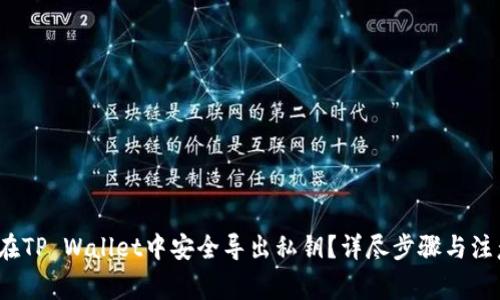  如何在TP Wallet中安全导出私钥？详尽步骤与注意事项