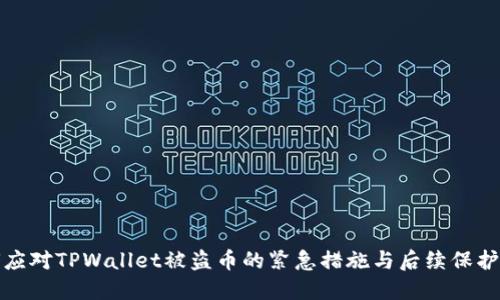 如何应对TPWallet被盗币的紧急措施与后续保护方案
