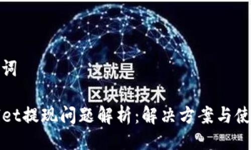与关键词

TPWallet提现问题解析：解决方案与使用技巧