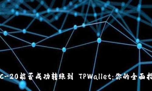 TRC-20能否成功转账到 TPWallet：你的全面指南