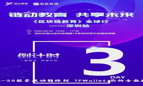 TRC-20能否成功转账到 TPWallet：你的全面指南
