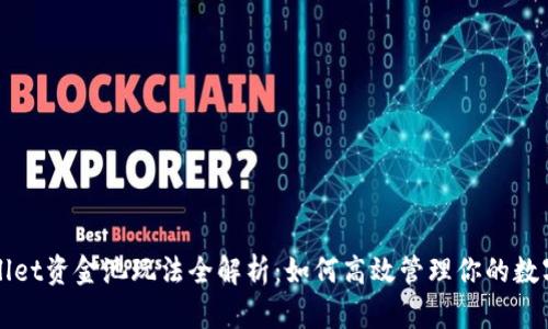 TPWallet资金池玩法全解析：如何高效管理你的数字资产