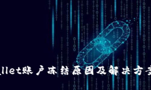 TPWallet账户冻结原因及解决方案详解