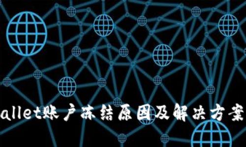 TPWallet账户冻结原因及解决方案详解