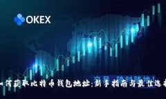 如何获取比特币钱包地址：新手指南与最佳选择