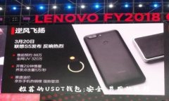 推荐的USDT钱包：安全、易用的选择