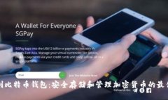 意大利比特币钱包：安全存储和管理加密货币的