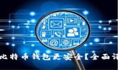 哪个网的比特币钱包更安全？全面评测与推荐