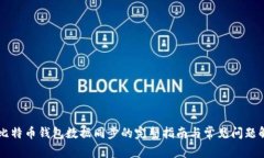 新比特币钱包数据同步的完整指南与常见问题解