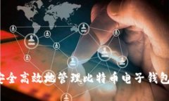 如何安全高效地管理比特币电子钱包账号？