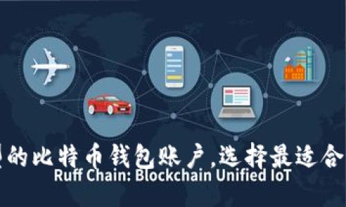 探索不同类型的比特币钱包账户，选择最适合你的存储方式