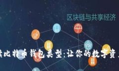 全面解读比特币钱包类型：让你的数字资产更安