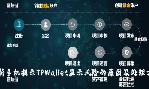 解析手机提示TPWallet显示风险的原因及处理方法