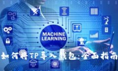 如何将TP导入钱包：全面指南