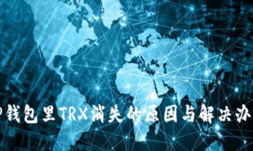 TP钱包里TRX消失的原因与解决办法