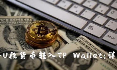 如何将U段货币转入TP Wallet：详细指南