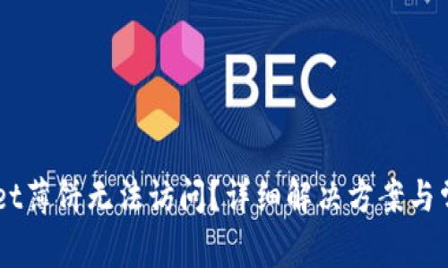 为何TPWallet薄饼无法访问？详细解决方案与常见问题解析