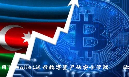 优秀的

如何使用TPWallet进行数字资产的安全管理——欧易教程