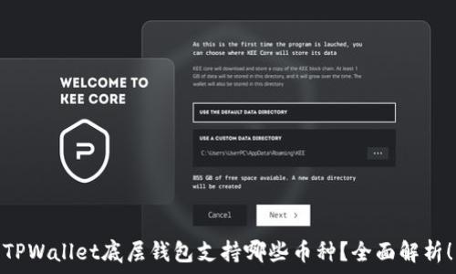   
TPWallet底层钱包支持哪些币种？全面解析！