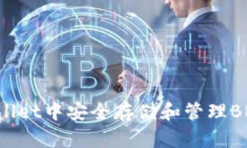 如何在TPWallet中安全存储和管理BNB：完整指南