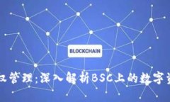 TPWallet授权管理：深入解析BSC上的数字资产管理系