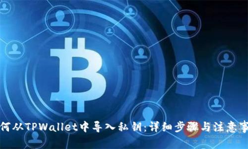 如何从TPWallet中导入私钥：详细步骤与注意事项