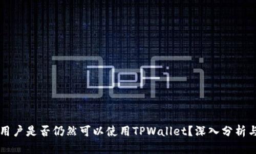 大陆用户是否仍然可以使用TPWallet？深入分析与指南
