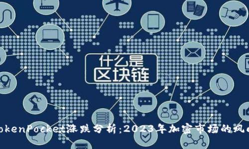 : TokenPocket涨跌分析：2023年加密市场的风向标