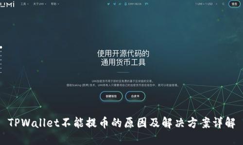 TPWallet不能提币的原因及解决方案详解